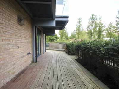 Picture 12